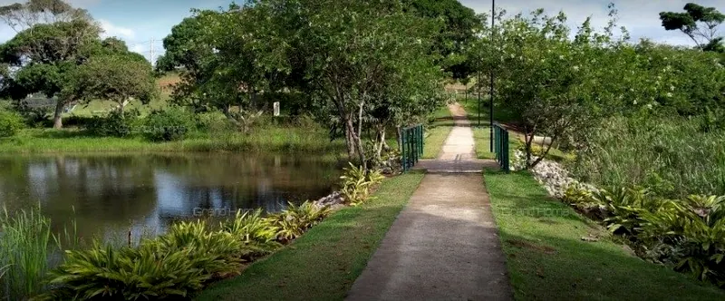 Lago e caminho na área verde do condomínio
